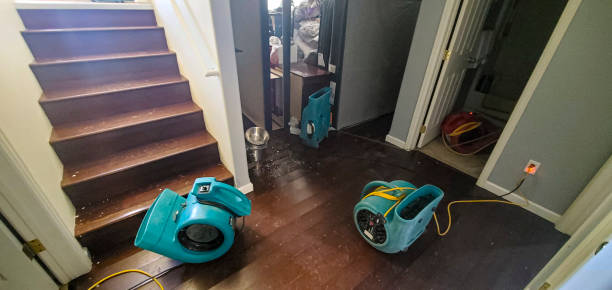 Best Carpet water damage restoration  in Cortland, IL