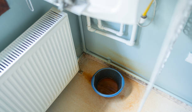 Best Water damage cleanup near me  in Cortland, IL