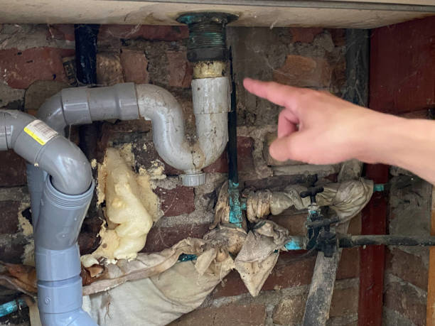 Water damage restoration process in IL