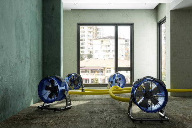Best Professional water damage repair  in Cortland, IL